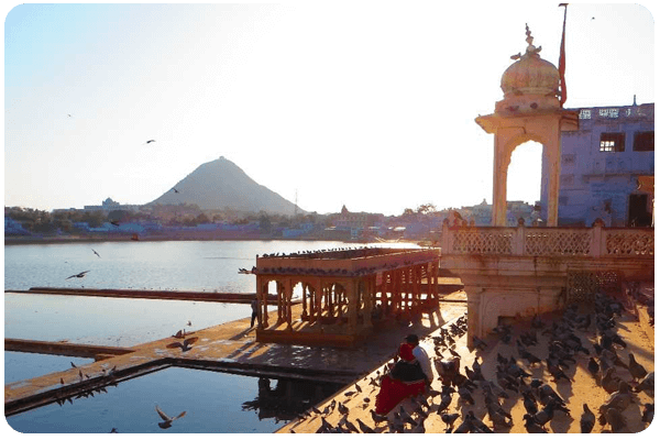 Best Event Management Company in Udaipur Best Event Management Company in Udaipur